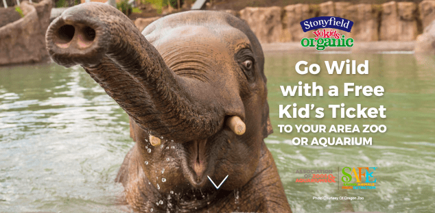 Screen Shot 2017-04-25 at 5.58.07 PM